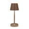 Anna's Collection - Draadloze tafellamp warm wit dimbaar led inclusief usb kabel 26.5x10.5 cm brons
