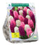 Baltus - Bollen Hyacinth mixed pink 9 stuks