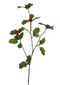 Jasaco - Ilex spray x3 75 cm green