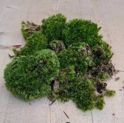 Warentuin Natuurlijk - Bolmos in bakje/zakje
