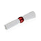 Servetring Versa Polypropyleen 4,7 x 3,2 x 4,7 cm 4 Onderdelen