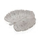 Middenstuk Versa Wit Laken 17 x 3 x 28 cm