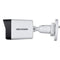 IP-camera Hikvision DS-2CD1043G2-LIU(2.8mm)