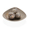 Middenstuk Versa Bruin 31,5 x 9 x 31,5 cm