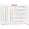 Muurkalender Finocam Papier 2025 68 x 48,5 cm