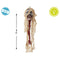Halloween Decoraties Schedel 75 cm