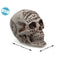 Halloween Decoraties Schedel 13 x 16 x 18 cm