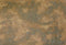 Euromarchi - Papier rots motief s-01074