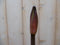 Warentuin Natuurlijk - Amaryllis 1 steel rood