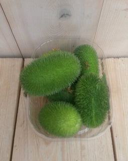 Warentuin Mix - Decoratievruchten groen