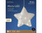 Lumineo - MicroLED ster d20l6.5 cm frost kerst