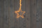 Anna's Collection - 37CM STER ZWART 200LED CLASSIC WARM 50CM VERLICHT SNOER - 4,5M AANLOOPSNOER -...