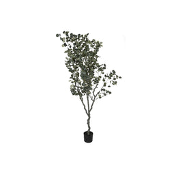 Boomstructuur Home ESPRIT Polyethyleen Cement Eucalyptus 80 x 80 x 220 cm