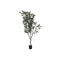 Boomstructuur Home ESPRIT Polyethyleen Cement Eucalyptus 80 x 80 x 220 cm