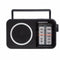 Transitorradio Daewoo DW1124