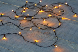 Anna's Collection - Glow Led Classic 180L18Mtr - 10M Leadcable Black