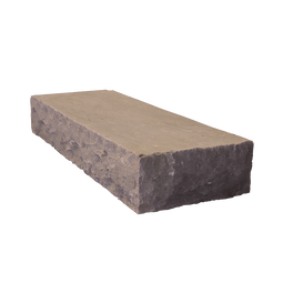Gardenlux - Minimaal 5 stuks! (1.75m²) TB gres traptrede Tavel tb natuursteen 100x35x15 cm prijs...