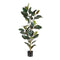 Decoratieve plant PVC Ijzer Vijgen 49 x 45 x 125 cm