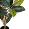 Decoratieve plant PVC Ijzer Vijgen 49 x 45 x 125 cm