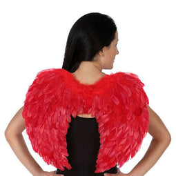 Vleugels (56 x 53 cm) Rood