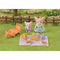 Playset Sylvanian Families 5698 Picknick