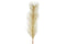 Countryfield - Pinus goud