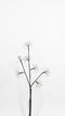 Anna's Collection - Led Firework Branch 60Cm/7X20Led Classic Black Branch - 4,5V