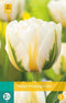 3 stuks - JUB - Tulipa Flaming Evita 5 bollen