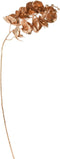 Nampook - Flower Orchid Metallic Goud