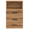 Nachtkastjes 2 st 40x36x65cm bewerkt hout artisanaal eikenkleur