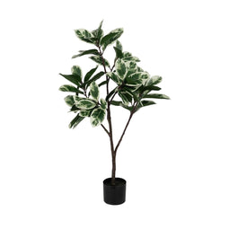 Decoratieve plant Rubber Polypropyleen 50 x 50 x 120 cm