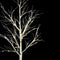 Kerstboom Wit Metaal