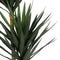 Decoratieve plant Polyethyleen Ijzer Cement Cassave 30 x 30 x 250 cm