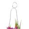 Decoratieve plant Polyester Polyethyleen Ijzer 7 x 7 x 18 cm
