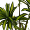 Decoratieve plant Rubber Polypropyleen 100 x 100 x 200 cm