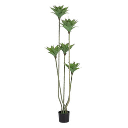 Decoratieve plant PVC Cement 40 x 40 x 170 cm