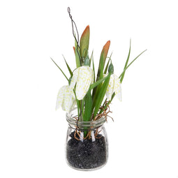 Decoratieve plant Polyester Polyethyleen Ijzer 7 x 7 x 20 cm