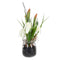 Decoratieve plant Polyester Polyethyleen Ijzer 7 x 7 x 20 cm