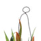 Decoratieve plant Polyester Polyethyleen Ijzer 7 x 7 x 20 cm