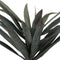 Decoratieve plant Rubber Polypropyleen Cassave 40 x 40 x 125 cm