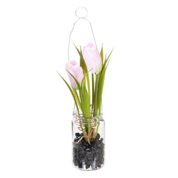 Decoratieve plant Polyester Polyethyleen Ijzer 7 x 7 x 18 cm