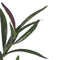 Decoratieve plant PEVA 30 X 25 X 72 CM