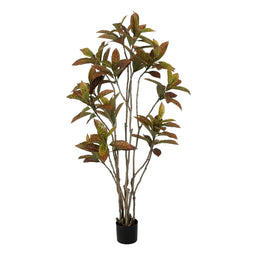 Decoratieve plant Rubber Polypropyleen 60 x 60 x 150 cm