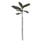 Decoratieve plant PEVA 29 x 29 x 66 cm