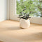 Vensterbanken 2 st onbehandeld 120x20x2 cm massief eikenhout