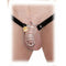 Chastity Peniskooi Pipedream Fetish Fantasy Extreme Zilverkleurig