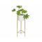 Bloempot met standaard Alexandra House Living Wit Gouden Metaal 28 x 80 x 28 cm