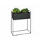Bloempot met standaard Alexandra House Living Zwart Metaal 51 x 24 x 65 cm