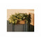 Bloempot met standaard Alexandra House Living Zwart Natuurlijk Metaal Synthetische rotan 20 x 66...