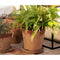 Bloempot met schaal Alexandra House Living Bruin Cement Rustiek 20 x 18 x 20 cm